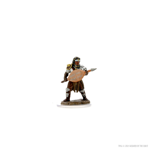 D&D Icons of The Realms Premium: Human Male / Fighter