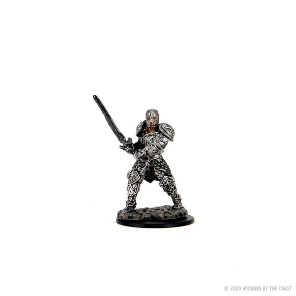 Nolzurs D&D Icons of The Realms: Premium Painted Miniatures - Male Human  Fighter