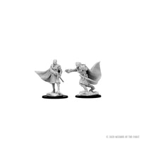 D&D Nolzur’s Marvelous Miniatures: Vampires