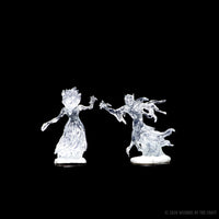 BACK-ORDER - D&D Nolzur’s Marvelous Miniatures: Wraith & Specter