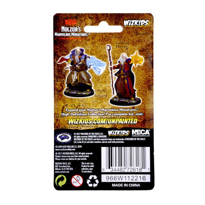 D&D Nolzur’s Marvelous Miniatures: Human Male Wizard - 2