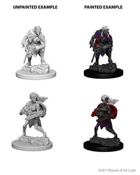 D&D Nolzur's Marvelous Miniatures: Drow