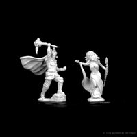 D&D Nolzur's Marvelous Miniatures: Medusas