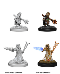 D&D Nolzur's Marvelous Miniatures: Female Gnome Wizard