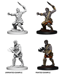 D&D Nolzur's Marvelous Miniatures: Nameless One