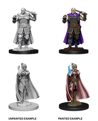 D&D Nolzur's Marvelous Miniatures - Human Ranger & Moon Elf Sorcerer