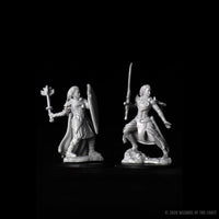 D&D Nolzur's Marvelous Miniatures - Female Elf Paladin