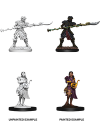 D&D Nolzur's Marvelous Miniatures - Yuan-Ti Purebloods Adventurers