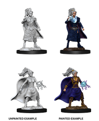 D&D Nolzur's Marvelous Miniatures - Female Human Sorcerer