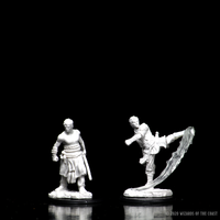 D&D Nolzur's Marvelous Miniatures - Male Half-Elf Monk