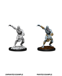 D&D Nolzur's Marvelous Miniatures - Wight & Ghast