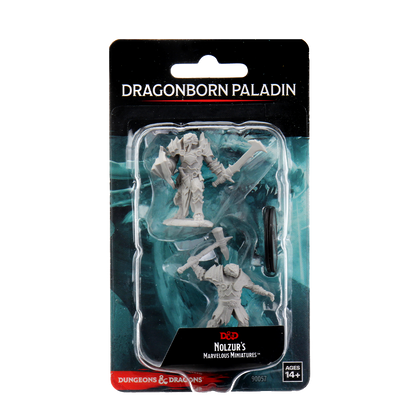 D&D Nolzur's Marvelous Miniatures - Male Dragonborn Paladin - 1