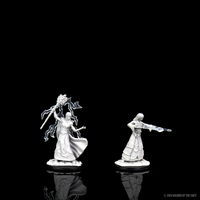 D&D Nolzur's Marvelous Miniatures - Female Elf Wizard