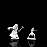 D&D Nolzur's Marvelous Miniatures - Sea Hag & Bheur Hag