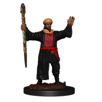 D&D Nolzur's Marvelous Miniatures: Human Wizard Male