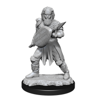 D&D Nolzur's Marvelous Miniatures: Human Fighter Male