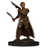 D&D Nolzur's Marvelous Miniatures: Shifter Rogue Female