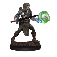 D&D Nolzur's Marvelous Miniatures: Multiclass Fighter + Wizard Male