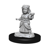 D&D Nolzur's Marvelous Miniatures: Silver Dragon Wyrmling & Female Halfling