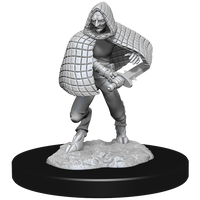 D&D Nolzur's Marvelous Miniatures: Darkling Elder & Darklings