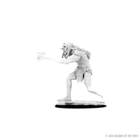 D&D Nolzur's Marvelous Miniatures: Troll