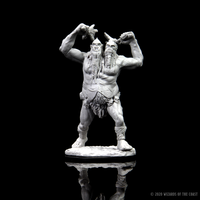 D&D Nolzur's Marvelous Miniatures: Ettin