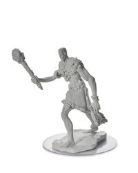 D&D Nolzur's Marvelous Miniatures: Stone Giant