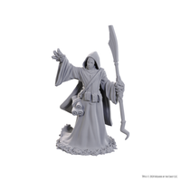 PRE-ORDER - D&D Nolzur's Marvelous Miniatures: Star Spawn Larva Mage