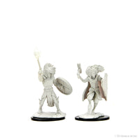 D&D Nolzur's Marvelous Miniatures: Changeling Cleric