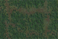 D&D Icons of the Realms: Forest Battle Mat