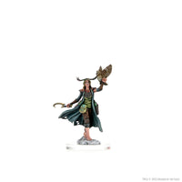 D&D Frameworks: Human Druid Female - Unpainted and Unassembled