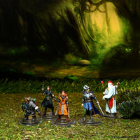 D&D Icons of the Realms Miniatures: The Wild Beyond the Witchlight Valor's Call Starter Set