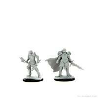 D&D Nolzur's Marvelous Miniatures: Dragonborn Fighter Female