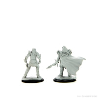 D&D Nolzur's Marvelous Miniatures: Dragonborn Fighter Female