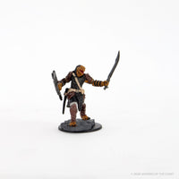 D&D Icons of the Realms Premium Figures: Dragonborn Female Paladin