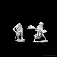 D&D Nolzur's Marvelous Miniatures: Drow