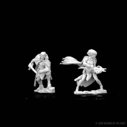 D&D Nolzur's Marvelous Miniatures: Drow - 2