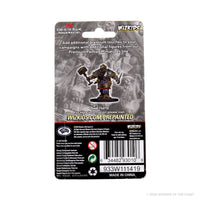 D&D Icons of the Realms Premium Figures: Dwarf Male Fighter