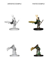 D&D Nolzur's Marvelous Miniatures: Elf Female Druid