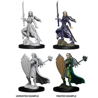 D&D Nolzur's Marvelous Miniatures - Female Elf Paladin