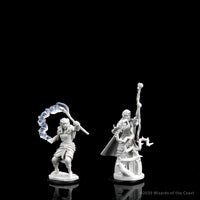 D&D Nolzur's Marvelous Miniatures: Firbolg Druid Female