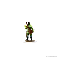 D&D Icons of the Realms Premium Figures: Male Half-Elf Bard