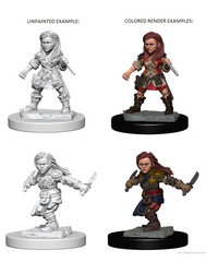 D&D Nolzur’s Marvelous Miniatures: Halfling Female Rogue