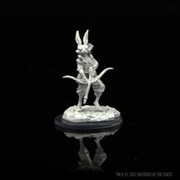 Dungeons & Dragons Nolzur's Marvelous Miniatures: Paint Kit - Harengon