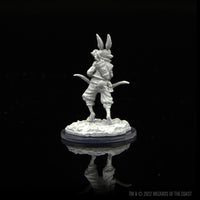 Dungeons & Dragons Nolzur's Marvelous Miniatures: Paint Kit - Harengon