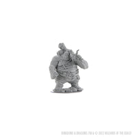 D&D Nolzur's Marvelous Miniatures: Hill Giant