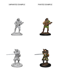 D&D Nolzur's Marvelous Miniatures: Human Male Bard