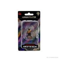 D&D Icons of the Realms Premium Figures: Male Human Fighter