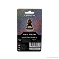 D&D Icons of the Realms Premium Figures: Male Human Fighter