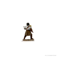 D&D Icons of the Realms Premium Figures: Male Human Fighter